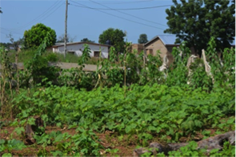 Oktober 2013 – Johannes Schlesinger zu Forschungsreise in Tamale/Ghana