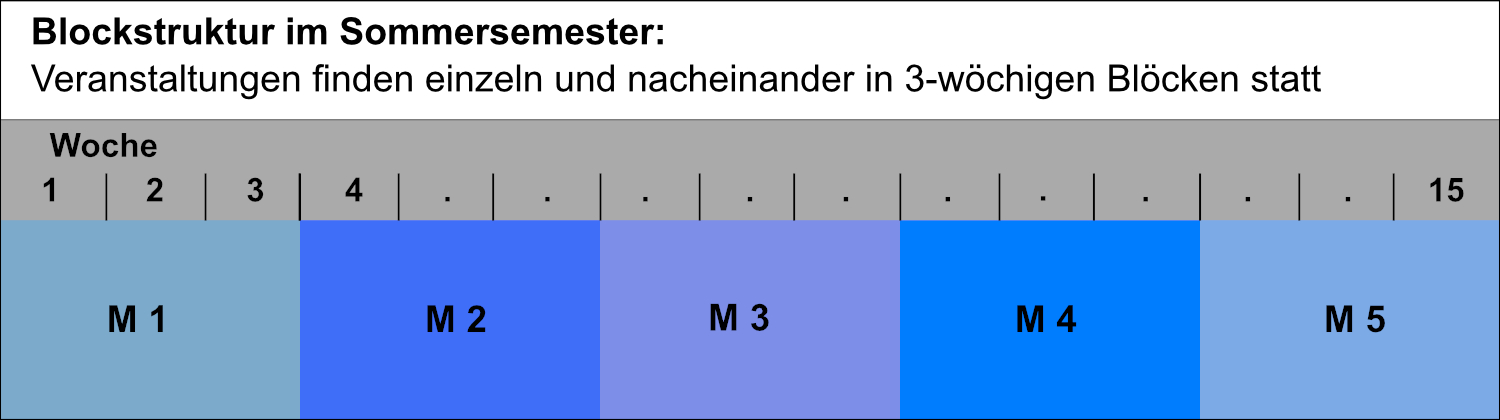 Blockstruktur im Sommersemester